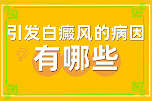 头上出现白色的斑块怎么回事,白斑的因由是哪些(因为什么患上)